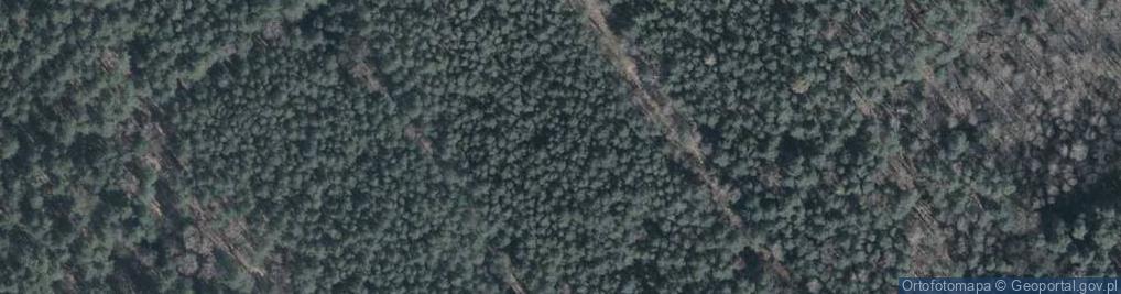 Zdjęcie satelitarne Rezerwat Florianów