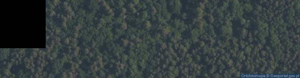 Zdjęcie satelitarne Rezerwat Gaik