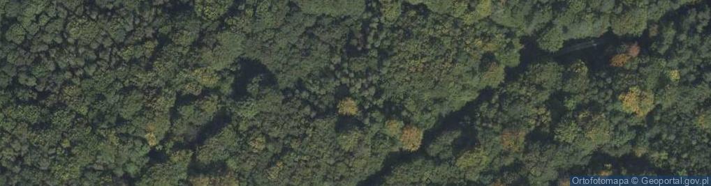 Zdjęcie satelitarne Rezerwat Głęboka Dolina