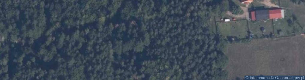 Zdjęcie satelitarne Rezerwat Gołębia Góra