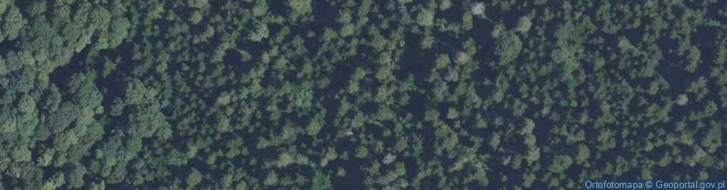 Zdjęcie satelitarne Rezerwat Góra Dobrzeszowska