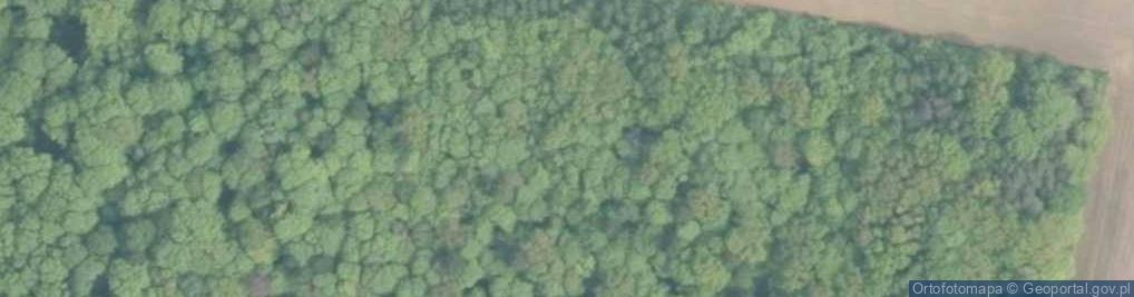 Zdjęcie satelitarne Rezerwat Góra Grojec