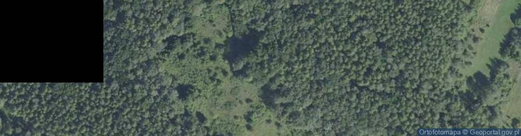 Zdjęcie satelitarne Rezerwat Góra Rzepka