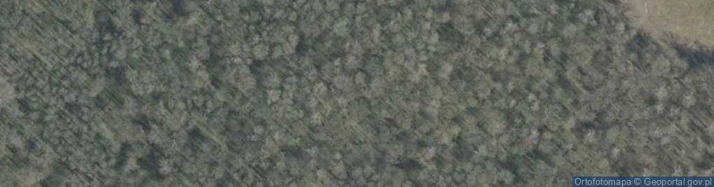 Zdjęcie satelitarne Rezerwat Grabówka