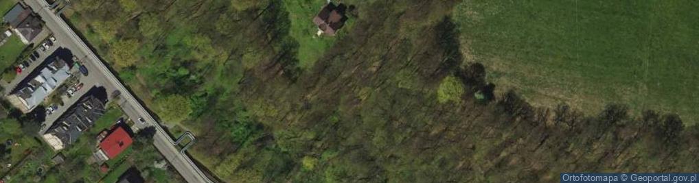 Zdjęcie satelitarne Rezerwat Grapa