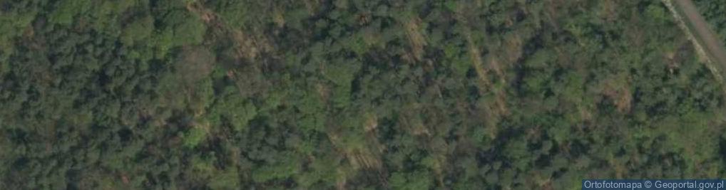 Zdjęcie satelitarne Rezerwat Hubert