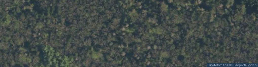 Zdjęcie satelitarne Rezerwat Jamno