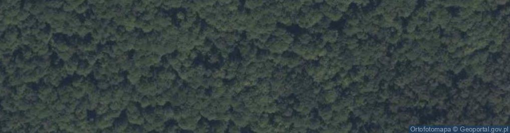 Zdjęcie satelitarne Rezerwat Jasień