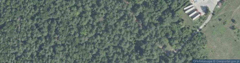 Zdjęcie satelitarne Rezerwat Jaskinia Raj