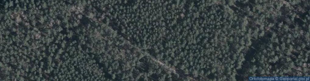 Zdjęcie satelitarne Rezerwat Jedlina