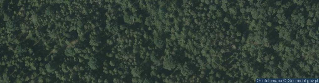 Zdjęcie satelitarne Rezerwat Jeleni Dwór