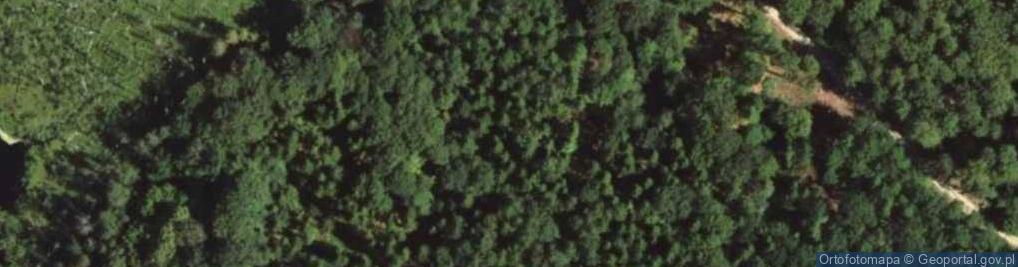 Zdjęcie satelitarne Rezerwat Jezioro Francuskie