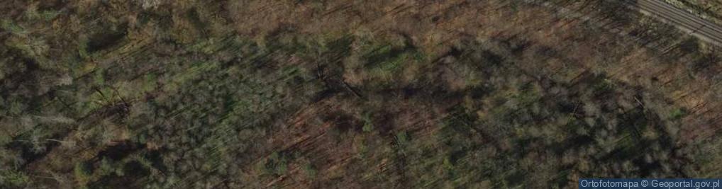 Zdjęcie satelitarne Rezerwat Kacze Łęgi