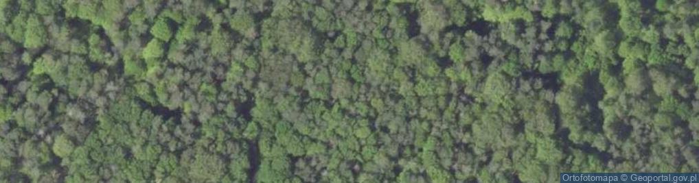 Zdjęcie satelitarne Rezerwat Kamień Śląski