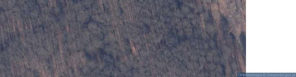 Zdjęcie satelitarne Rezerwat Kołowskie Parowy - Rez. im. Józefa Lewandowskiego