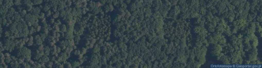 Zdjęcie satelitarne Rezerwat Konewka