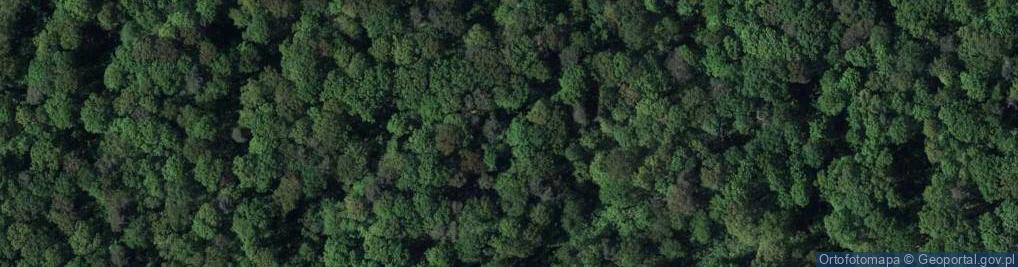 Zdjęcie satelitarne Rezerwat Kozie Góry