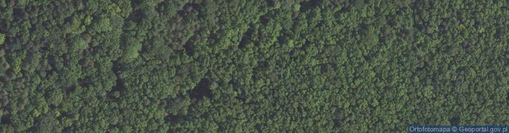 Zdjęcie satelitarne Rezerwat Łabunie