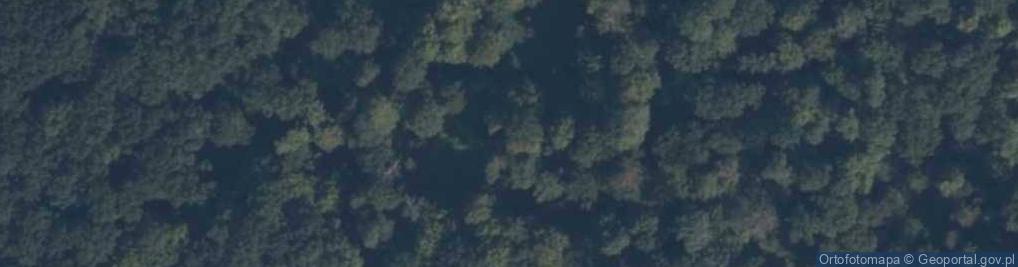 Zdjęcie satelitarne Rezerwat Las Łęgowy nad Nogatem
