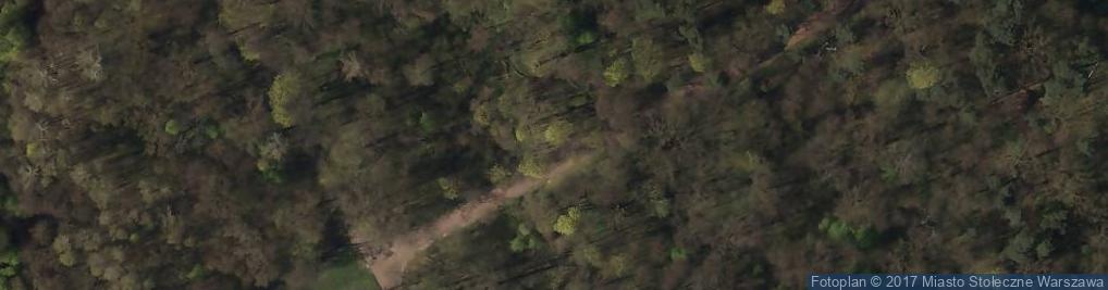 Zdjęcie satelitarne Rezerwat Las Natoliński