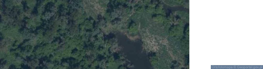 Zdjęcie satelitarne Rezerwat Ławice Troszczyńskie
