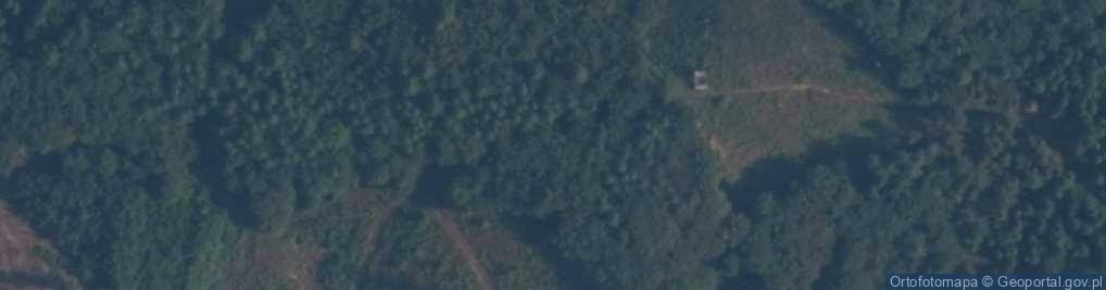 Zdjęcie satelitarne Rezerwat leśny Paraszyńskie Wąwozy