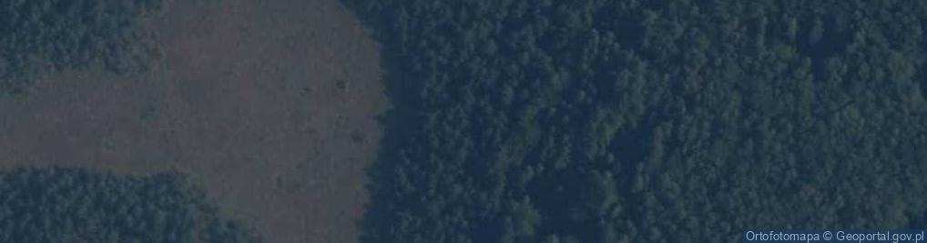 Zdjęcie satelitarne Rezerwat Lewice