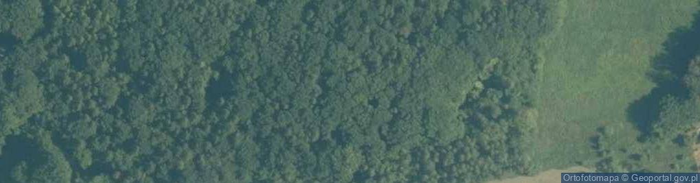 Zdjęcie satelitarne Rezerwat Lipowiec