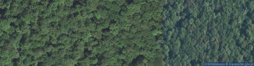 Zdjęcie satelitarne Rezerwat Lipówka
