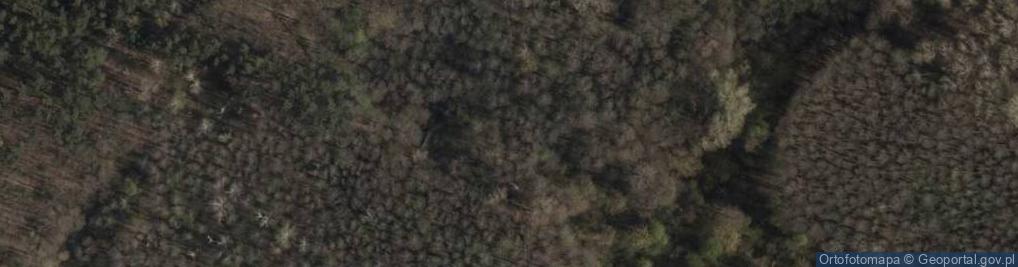 Zdjęcie satelitarne Rezerwat Łosiowe Błota