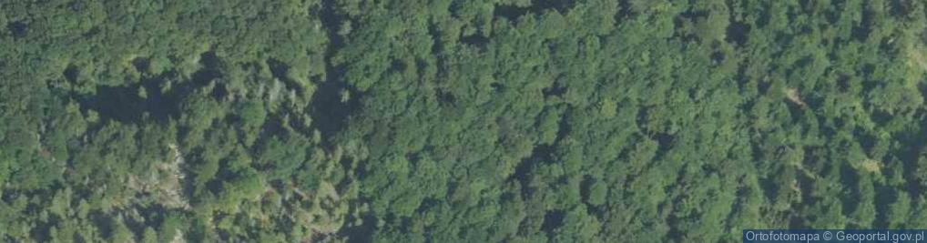 Zdjęcie satelitarne Rezerwat Luboń Wielki