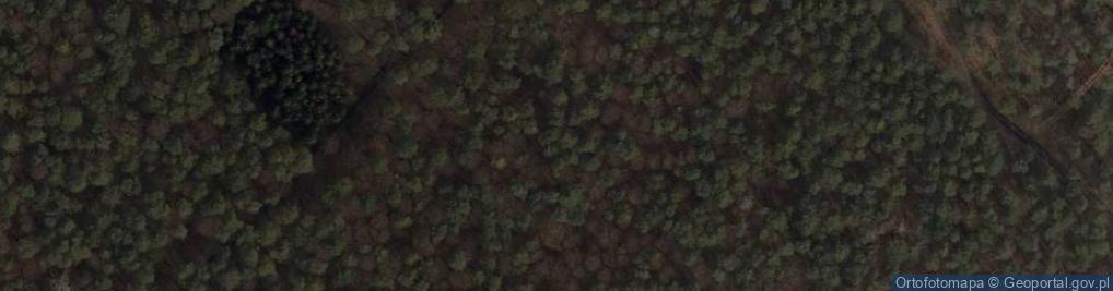 Zdjęcie satelitarne Rezerwat Meszcze
