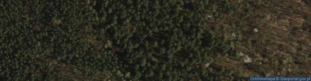 Zdjęcie satelitarne Rezerwat Meteoryt Morasko