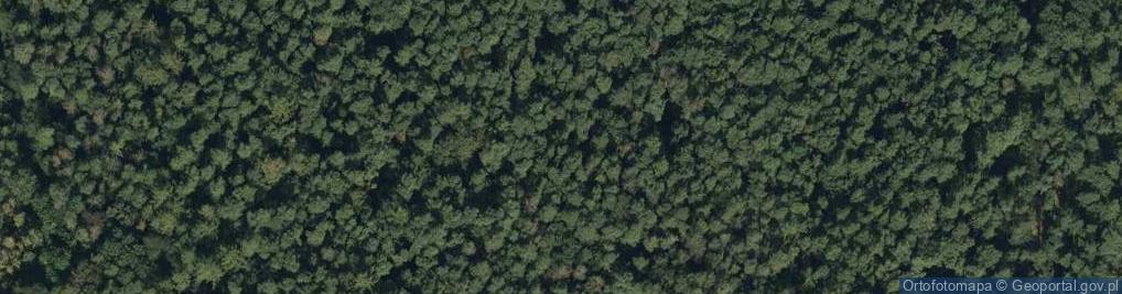 Zdjęcie satelitarne Rezerwat Miejski Bór