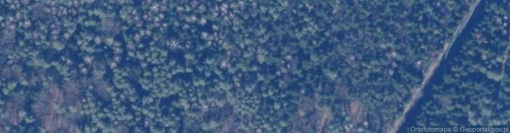 Zdjęcie satelitarne Rezerwat Miodne