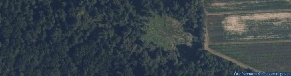 Zdjęcie satelitarne Rezerwat Modrzewina