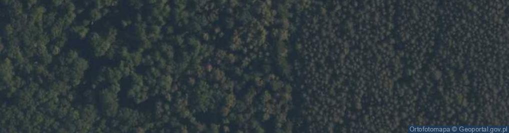Zdjęcie satelitarne Rezerwat Mokry Las