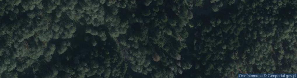 Zdjęcie satelitarne Rezerwat Nad Tanwią
