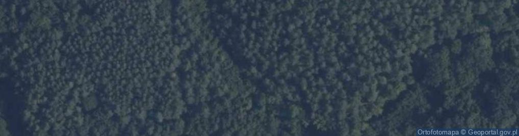 Zdjęcie satelitarne Rezerwat Opalenie Górne
