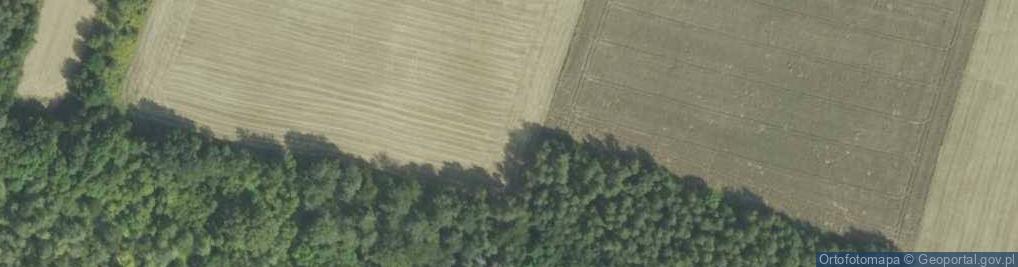 Zdjęcie satelitarne Rezerwat Opalonki
