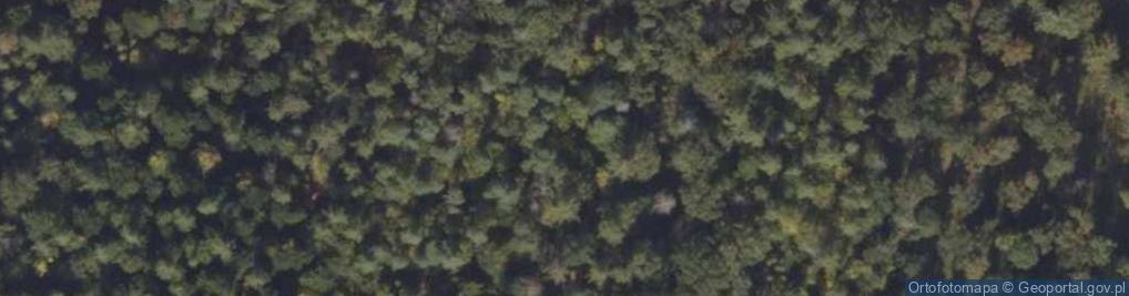 Zdjęcie satelitarne Rezerwat Pępowo