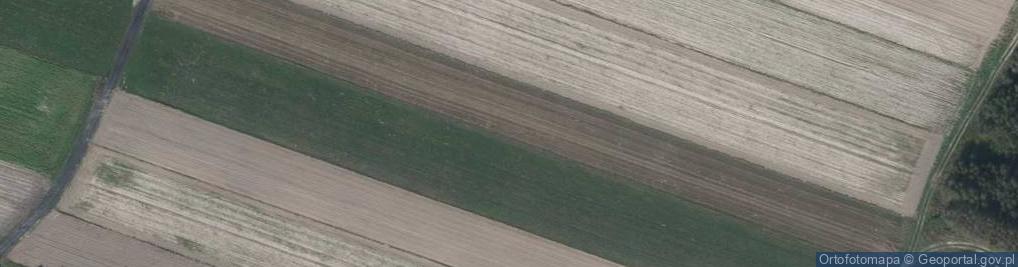 Zdjęcie satelitarne Rezerwat Piekiełko koło Tomaszowa Lubelskiego