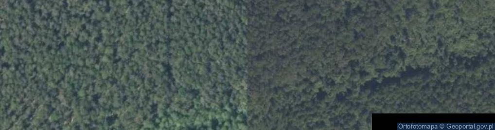 Zdjęcie satelitarne Rezerwat Piskorzeniec