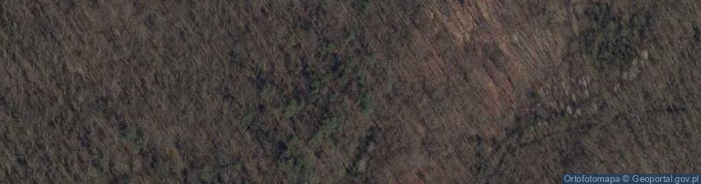 Zdjęcie satelitarne Rezerwat Półboru
