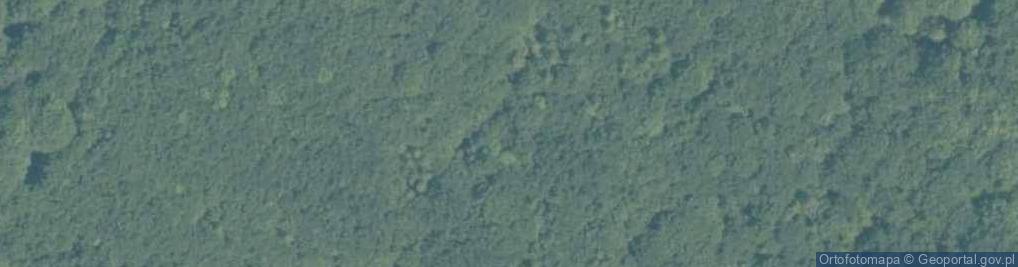 Zdjęcie satelitarne Rezerwat Przyrody Pazurek