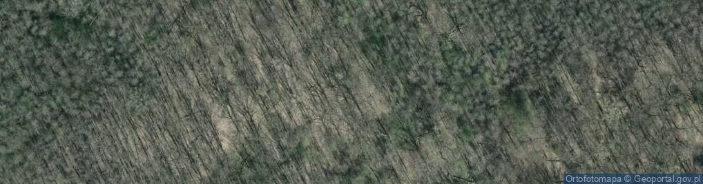 Zdjęcie satelitarne Rezerwat przyrody Starzawa