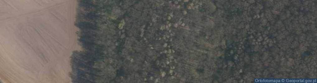 Zdjęcie satelitarne Rezerwat przyrody