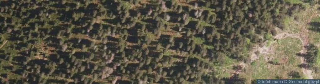 Zdjęcie satelitarne Rezerwat Romanka w Beskidzie Żywieckim