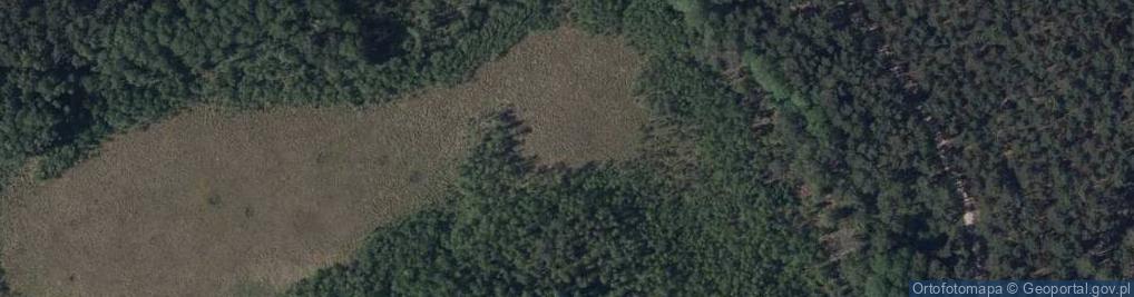 Zdjęcie satelitarne Rezerwat Rybojady