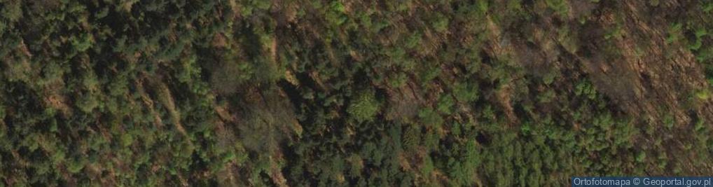 Zdjęcie satelitarne Rezerwat Segiet